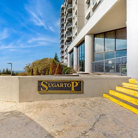 The Citadel 3331 Apartment ชูการ์เมาน์เทน ภายนอก รูปภาพ